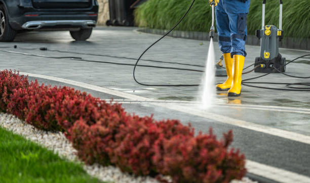 Best Roof Pressure Washing  in Chandler, TX
