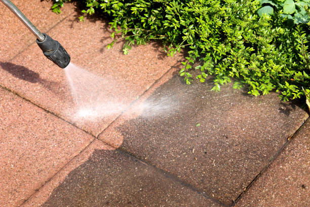 Best Roof Pressure Washing  in Chandler, TX